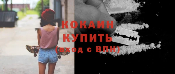 шишки Армянск