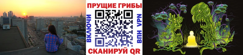 купить   Лиски  Галлюциногенные грибы ЛСД 